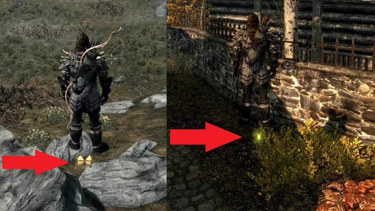 Dragonborn riding torchbugs and butterflies!