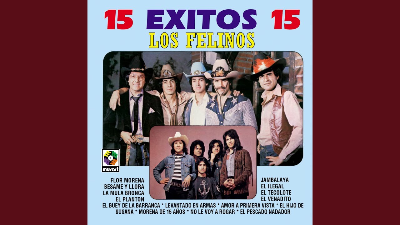 El Ilegal