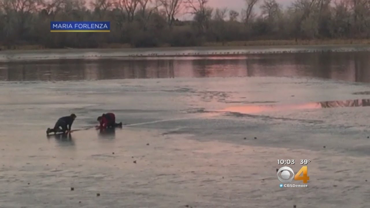 Boy, Dog Rescued After Falling Into Frozen Over Lake
