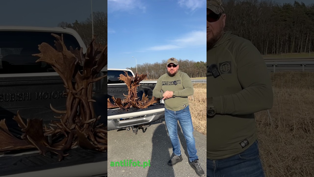 Gigantyczny żyrandol z poroża (8 żar&oacute;wek) #shorts #myślistwo  #hunting