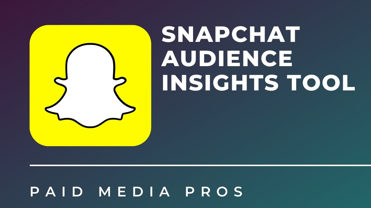 Snapchat Audience Insights