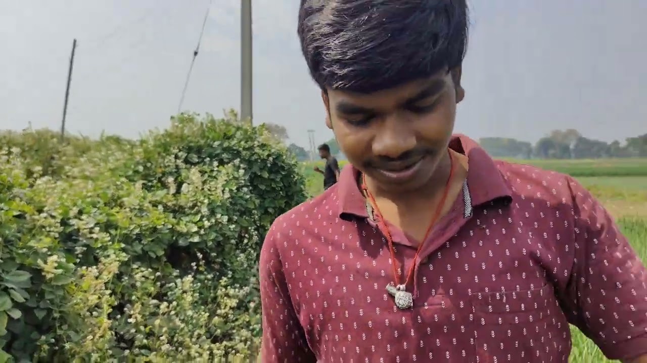 बीच बाजार में देखी पानी के तलाश में यह सब खुल रहा है लेकिन पानी नहीं मिल रहा है लास्ट 🏞️🌎🌳😲बिहार