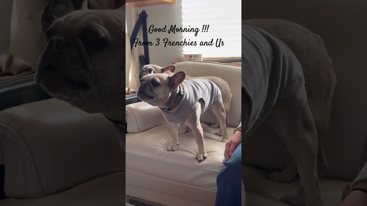 Good morning!  Cold Houston Winter weather.  Leaving for Florida this week!  ☀️ 🏝️