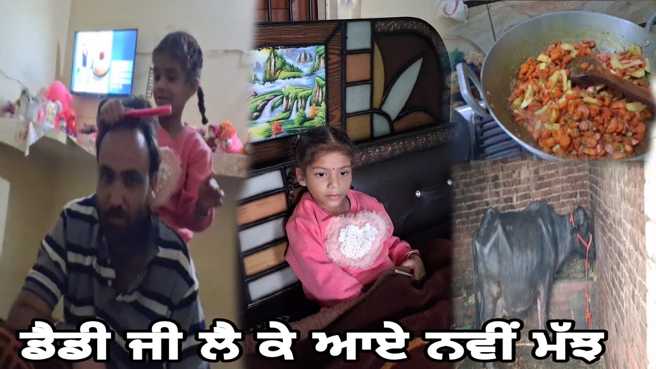ਡੈਡੀ ਜੀ ਲੈ ਕੇ ਆਏ ਨਵੀਂ ਮੱਝ ! Daily vlogs 💥 kusumgillvlogs 