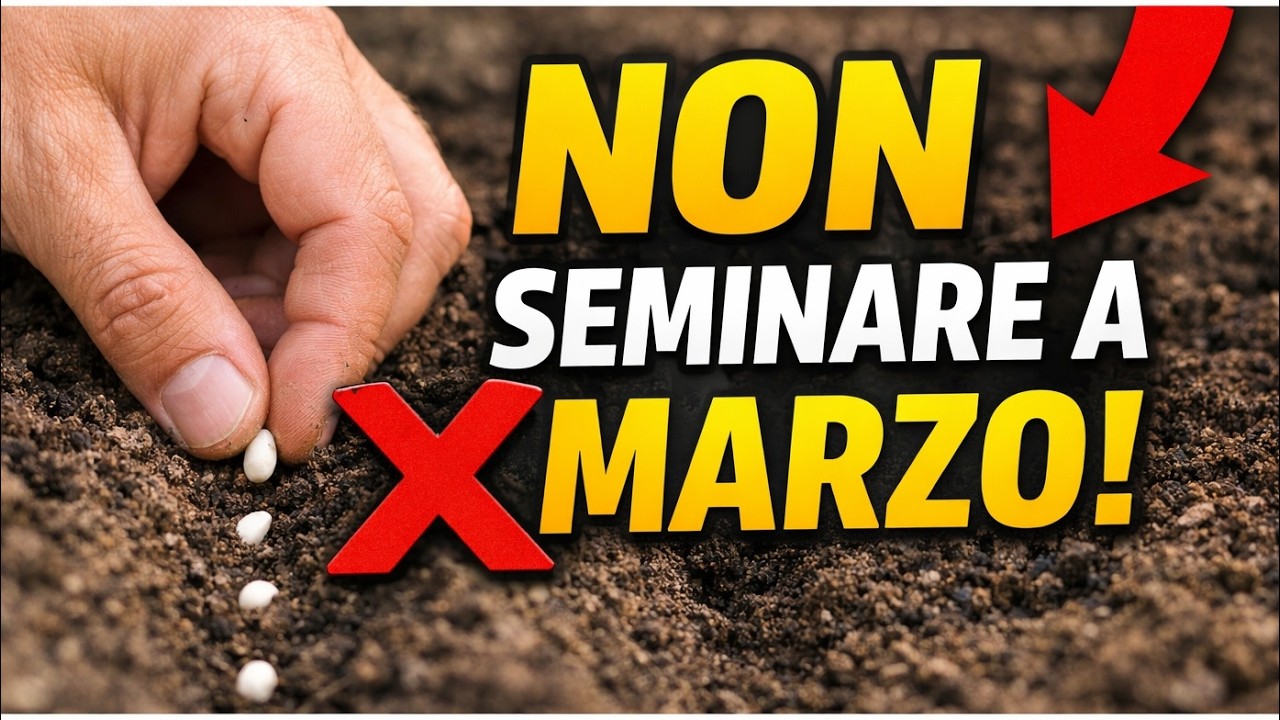 Semina QUESTO a Metà Marzo: L'Errore che Rovinerà il Tuo Raccolto!