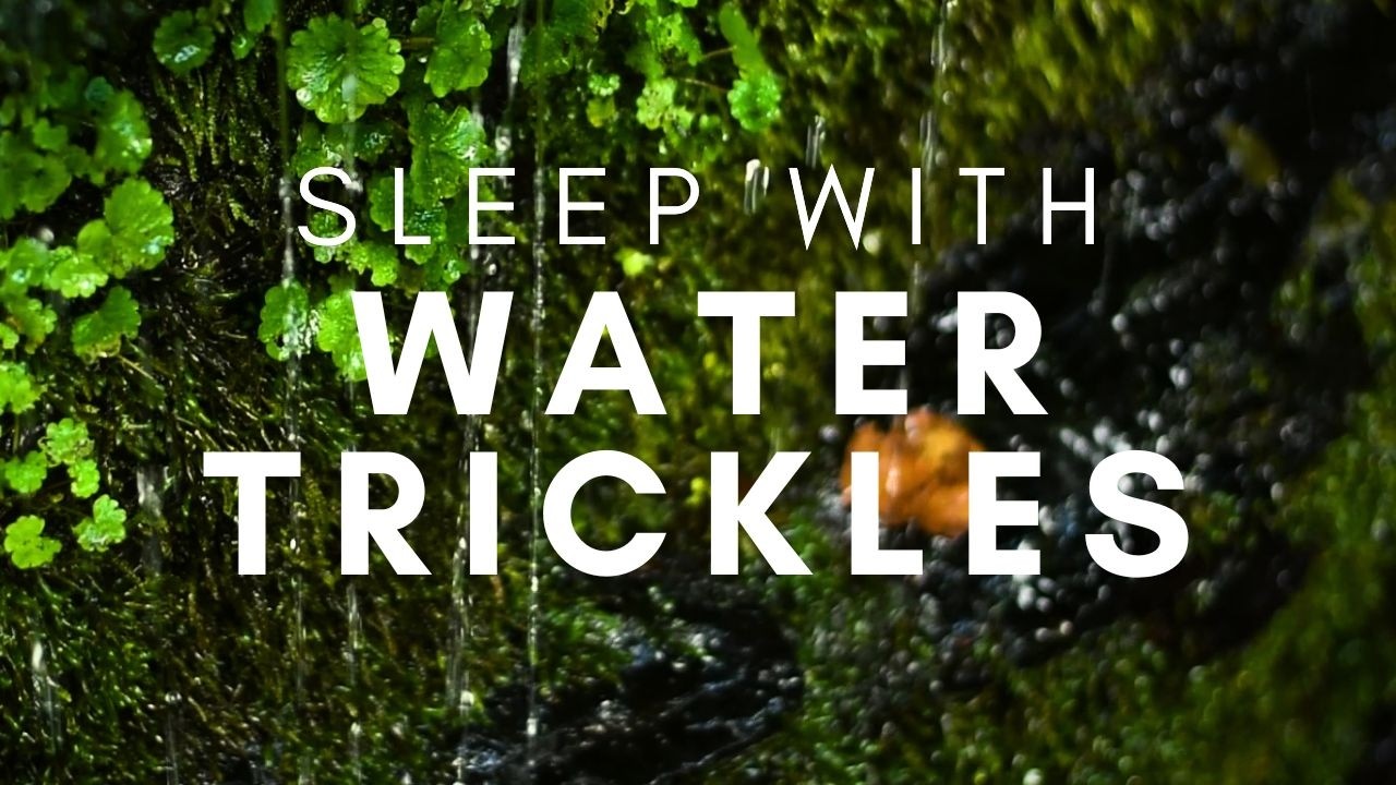 High Quality Water Sounds NO Distractions ❘ Enter Deep Sleep & Relaxation ❘ ASMR