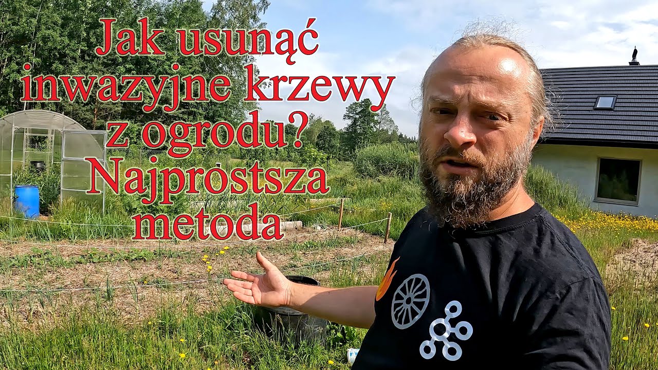 Jak usunąć inwazyjne krzewy z ogrodu - Najprostsza metoda walki - Ogrodowe pierdamony 155