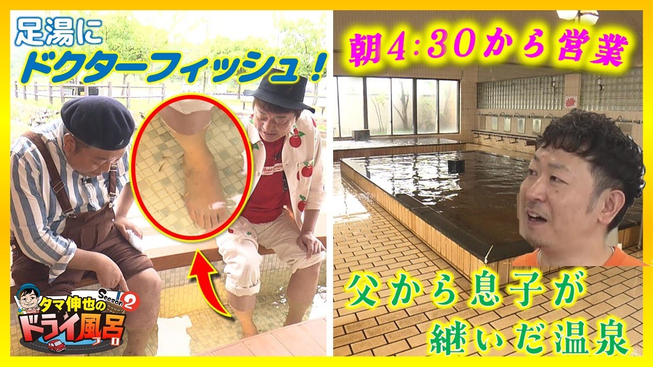 【#タマ伸也のドライ風呂・Season2】道の駅に誕生！ドクターフィッシュの足湯「しじみ～湯」＆創業40年・息子が継承「さかた温泉」[青森の温泉 Aomori ONSEN] 東北町・七戸町