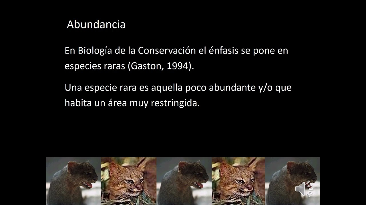 09 MMVS2025 Biolog&iacute;a de la Conservaci&oacute;n Conservaci&oacute;n de especies y poblaciones