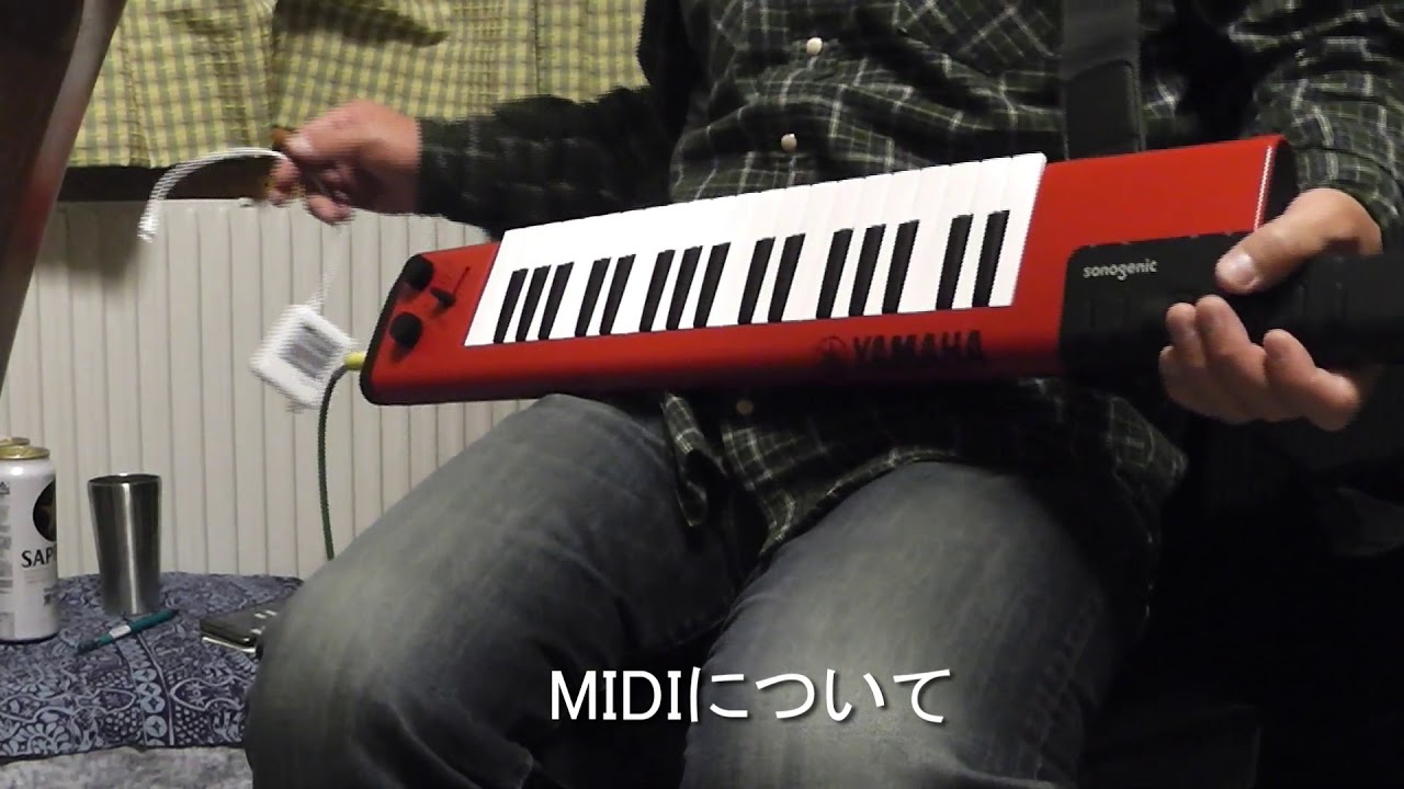 【SHS-500】特徴についてsonogenic（#382）【飲みトーク4】