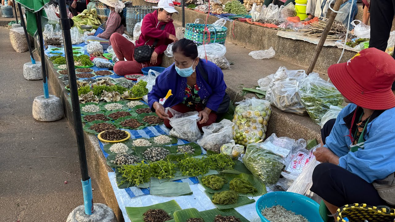 อาหารตามฤดูกาล ตลาดนัดไทยลาว อำเภอธาตุพนม 