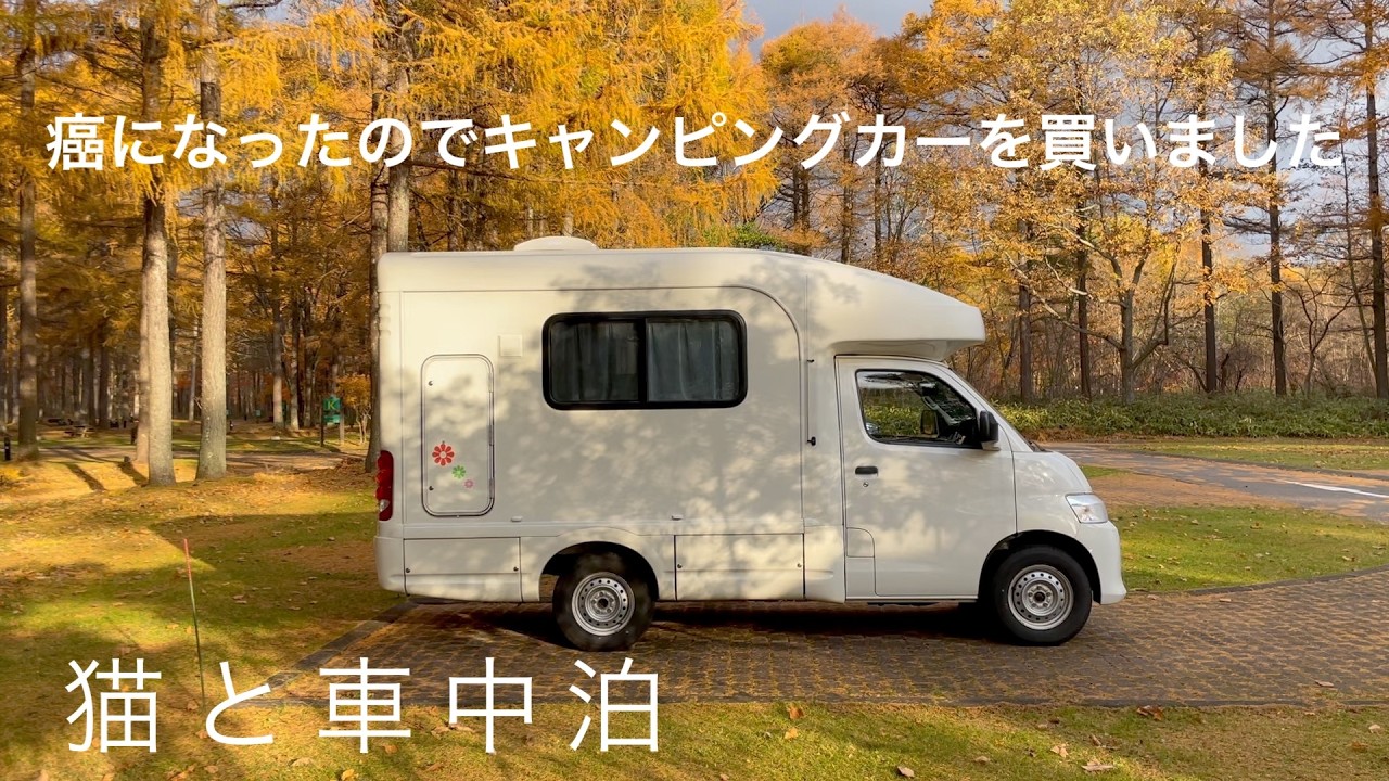 【猫と車中泊】健康の秘訣は車中泊！？苫小牧アルテンで記念日キャンプ
