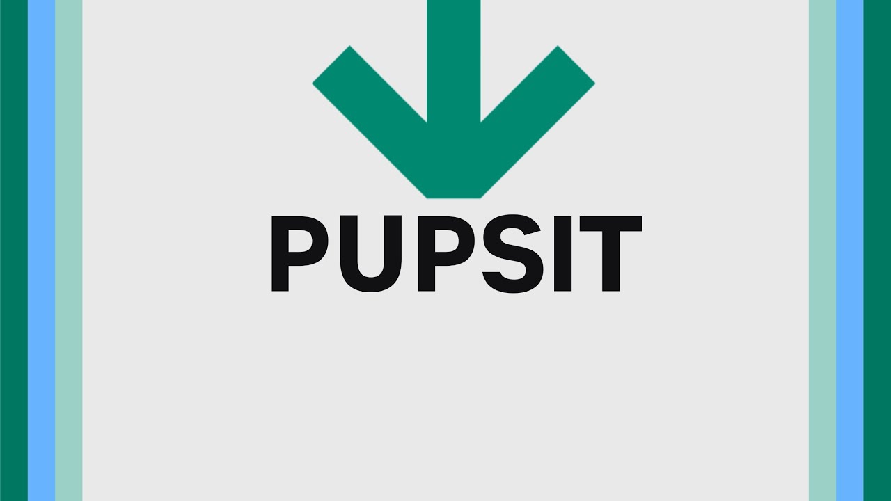 Pre-use post sterilization integrity testing (PUPSIT) overview video