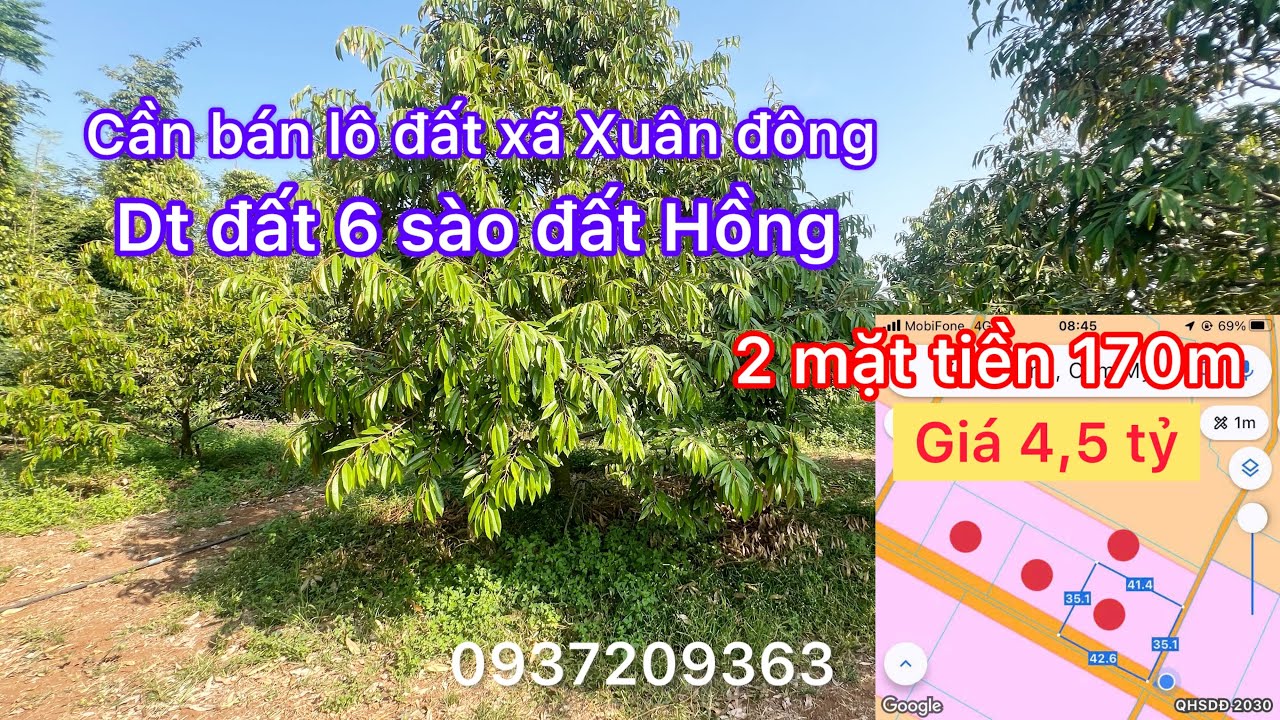 Cần bán lô đất vườn xầu riêng đất Hồng 2 mặt tiền 170m thích hợp phan nền trồng xầu riêng