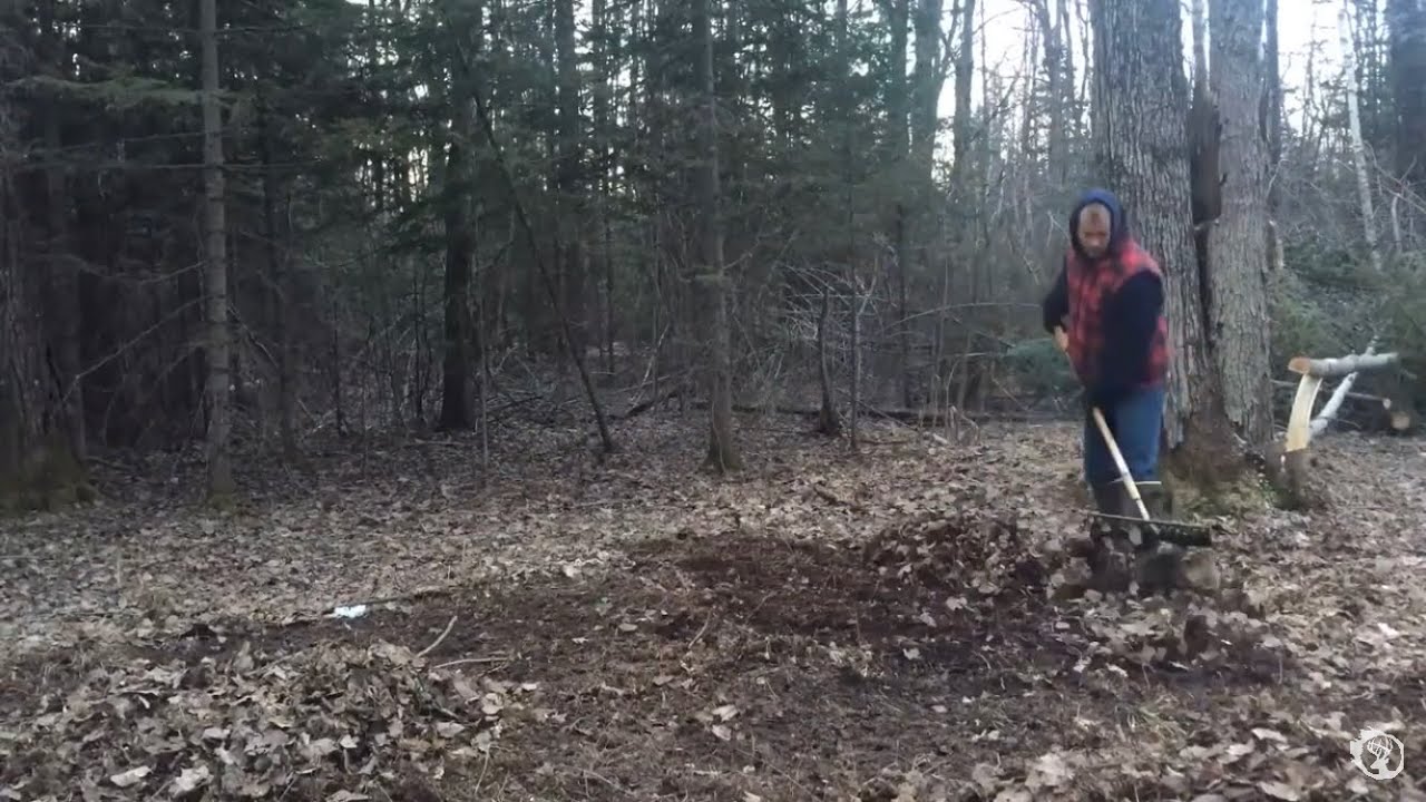 Creating a FOOD PLOT with a CHAINSAW and RAKE!!