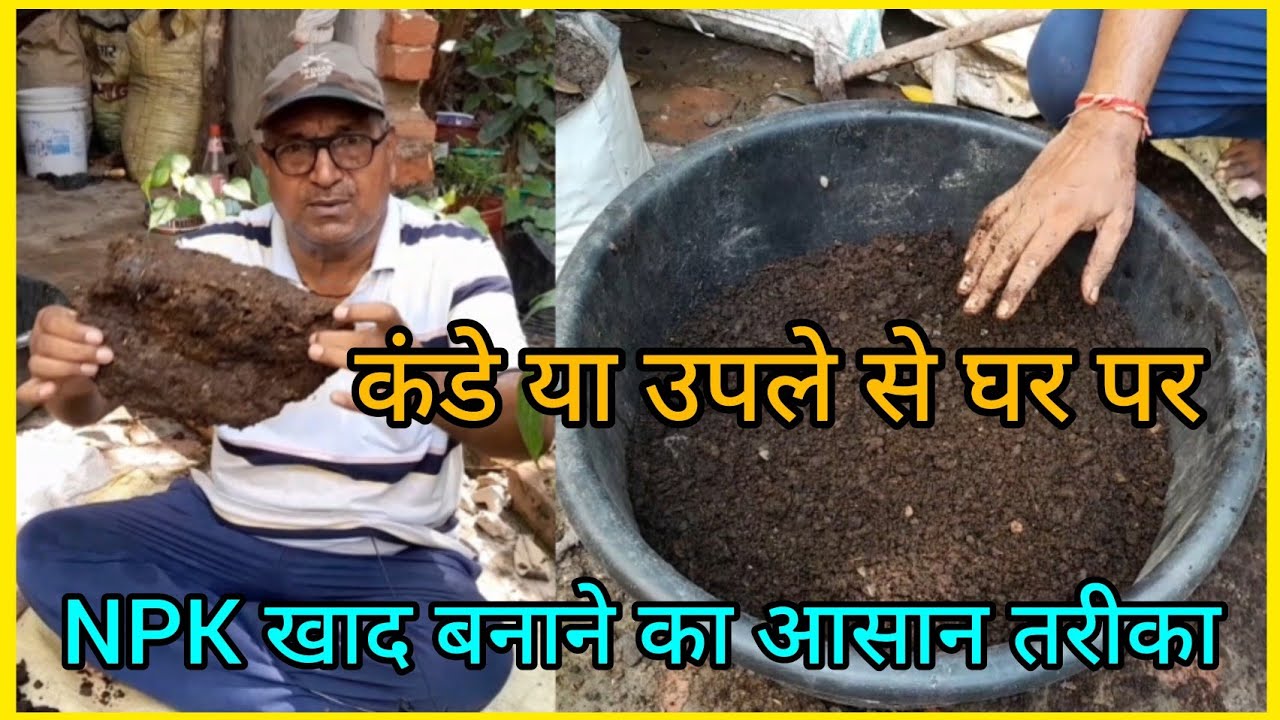 कंडे या उपले से npk खाद कैसे बनाए। How to make free NPK at home।