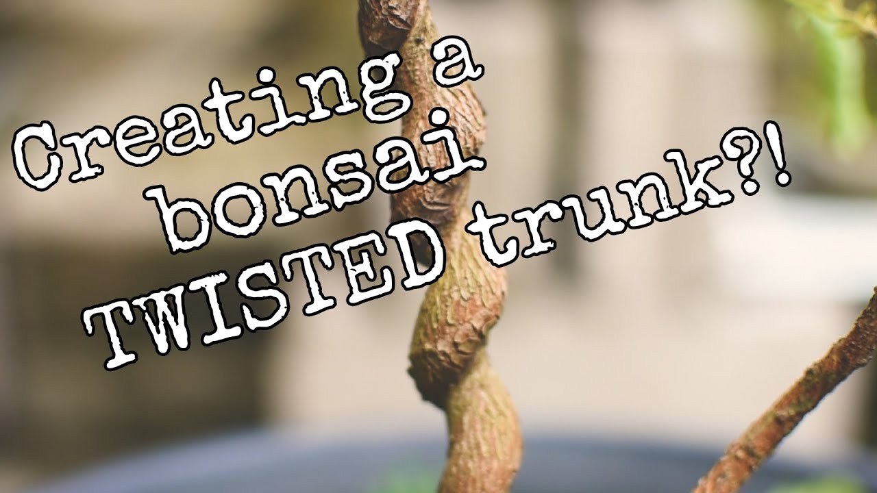 EP 8 - 