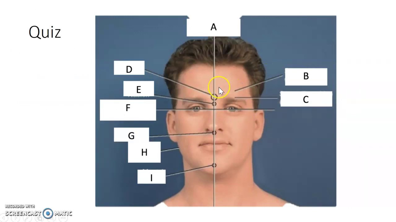 Skull lines and landmarks for x-ray