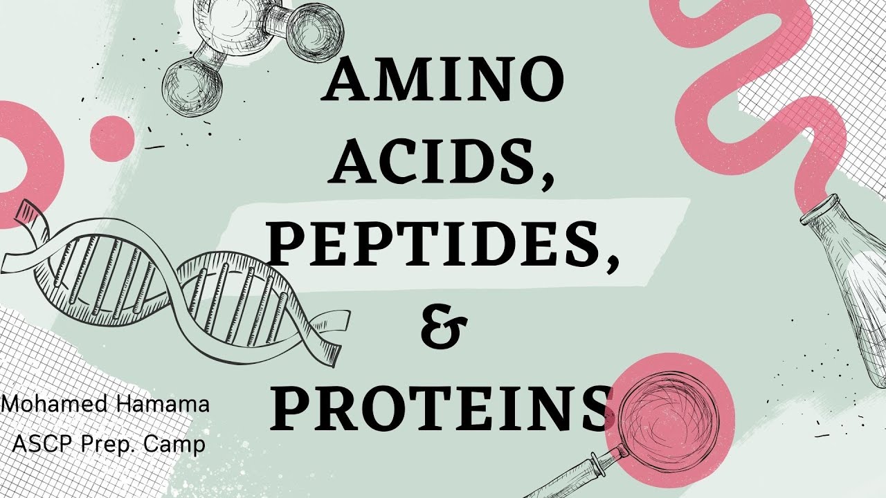 ASCP | MLS | MLT | Chemistry | Amino Acids, Peptides, & Proteins