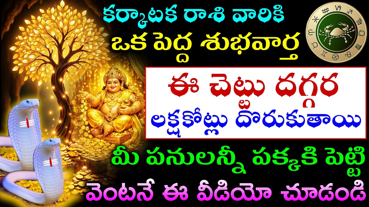 కర్కాటక రాశి వారికి ఈ చెట్టు దగ్గర లక్షకోట్లు దొరుకుతాయి మీ పనులన్నీ పక్కకి పెట్టి  వెంటనే