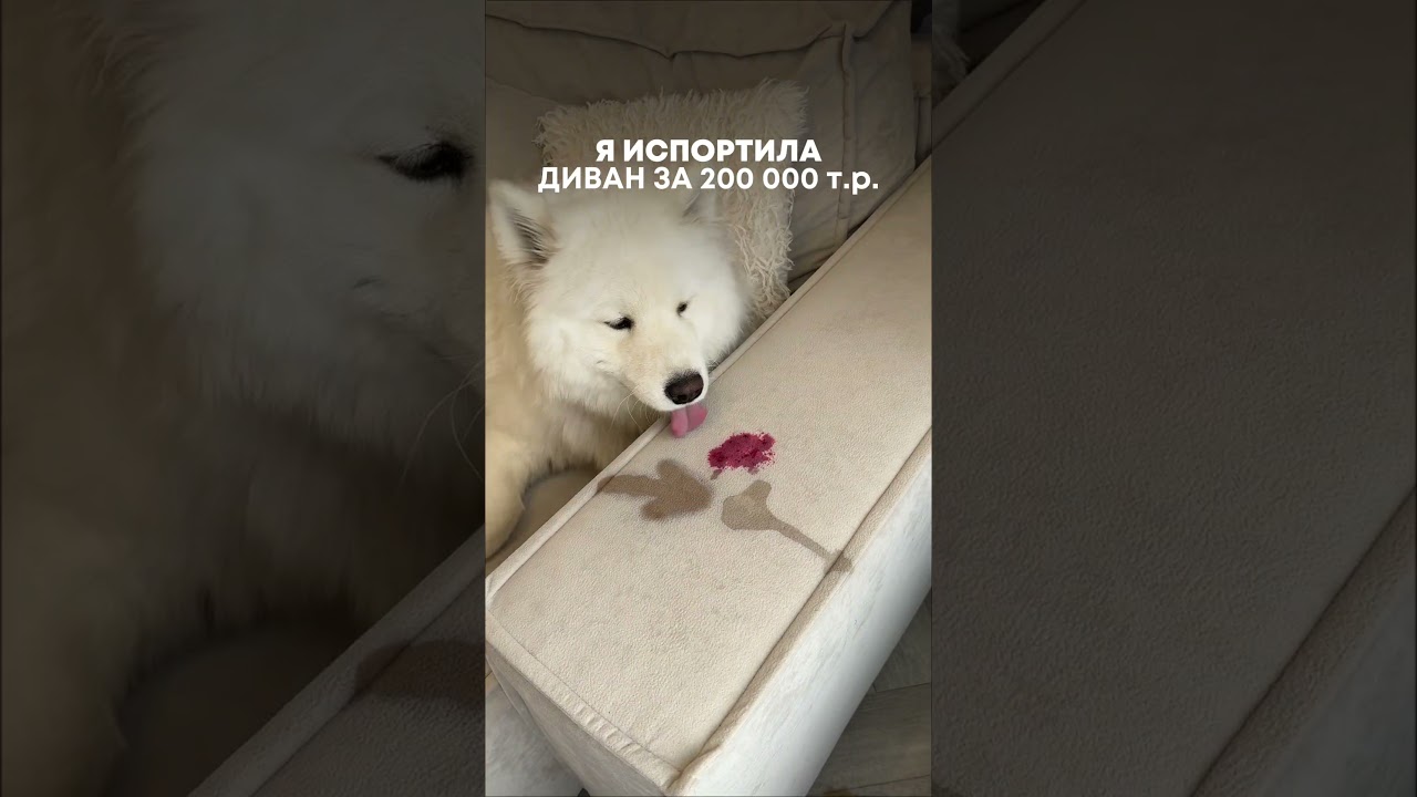 ЧТО Я НАТВОРИЛА 😱 WB #WW320428