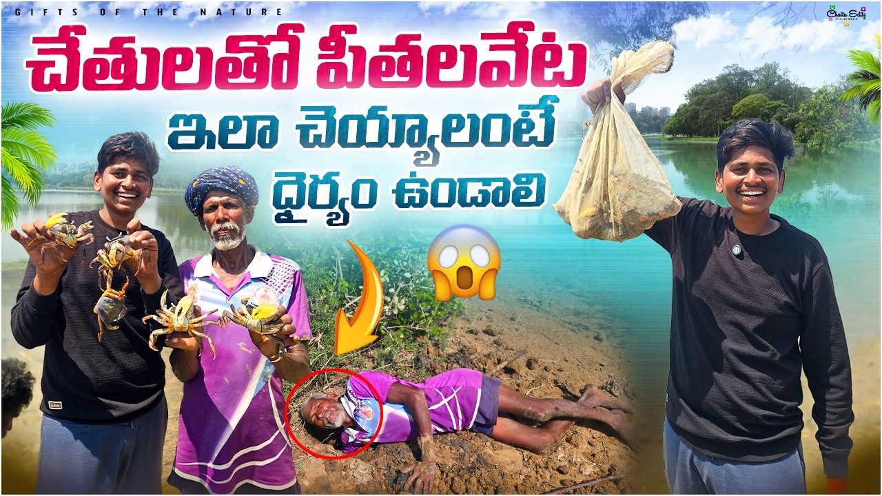 ఉట్టి చేతులతో పీతలవేట🦀 || ఇలా చెయ్యాలంటే చాలా ధైర్యం కావాలి😮