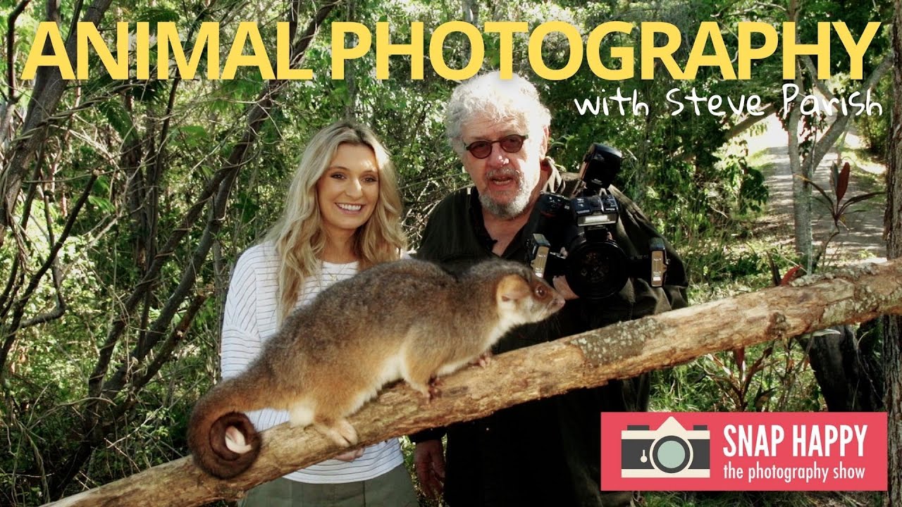 Photographing Australian Animals with Steve Parish