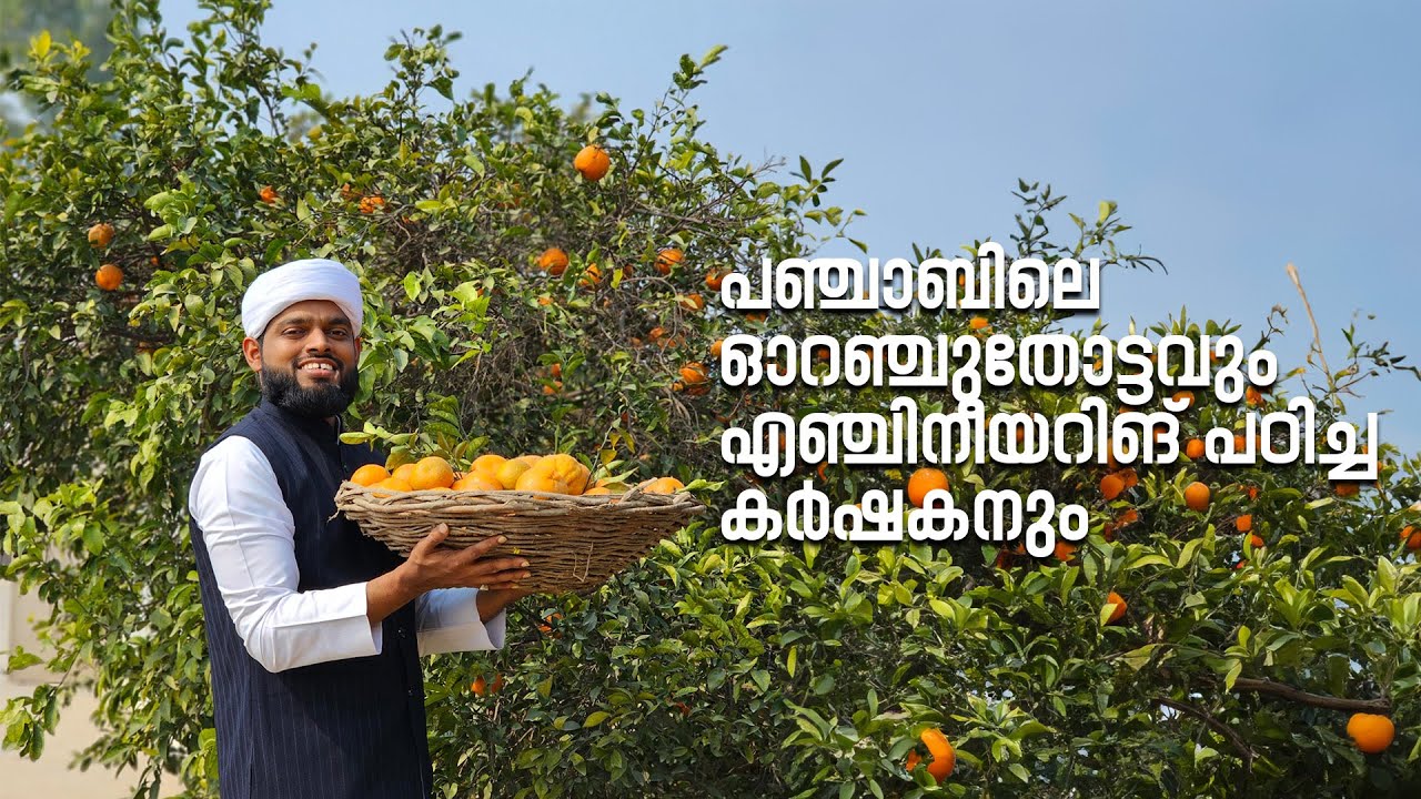 പഞ്ചാബിലെ ഓറഞ്ചുതോട്ടവും എഞ്ചിനീയറിങ് പഠിച്ച കർഷകനും | Story-79