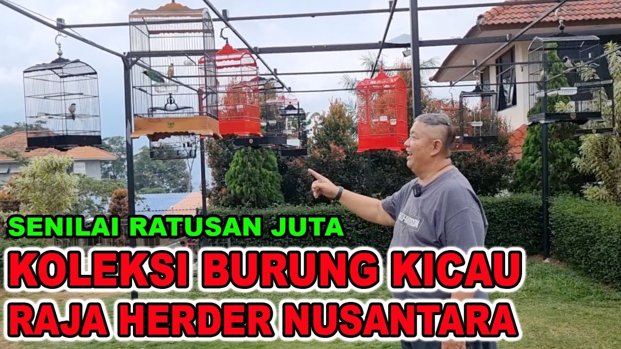 KOLEKSI BURUNG KICAU RAJA HERDER SE-NUSANTARA