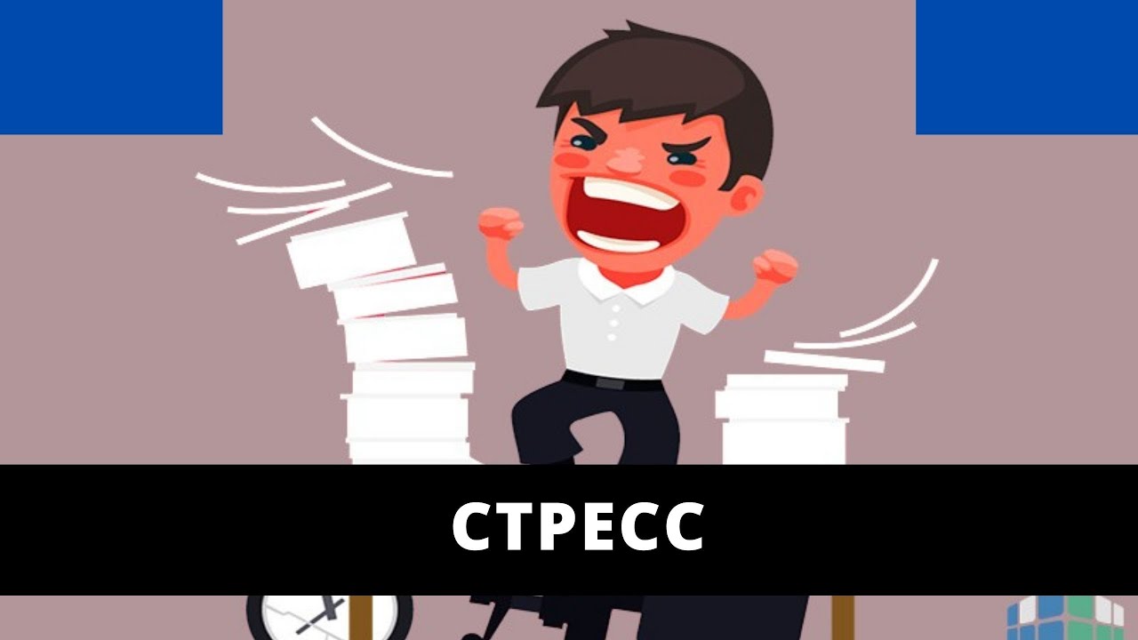 Стресс | 2-бѳлүм | үй-бүлөлүк психолог | Нурбек Богачиев