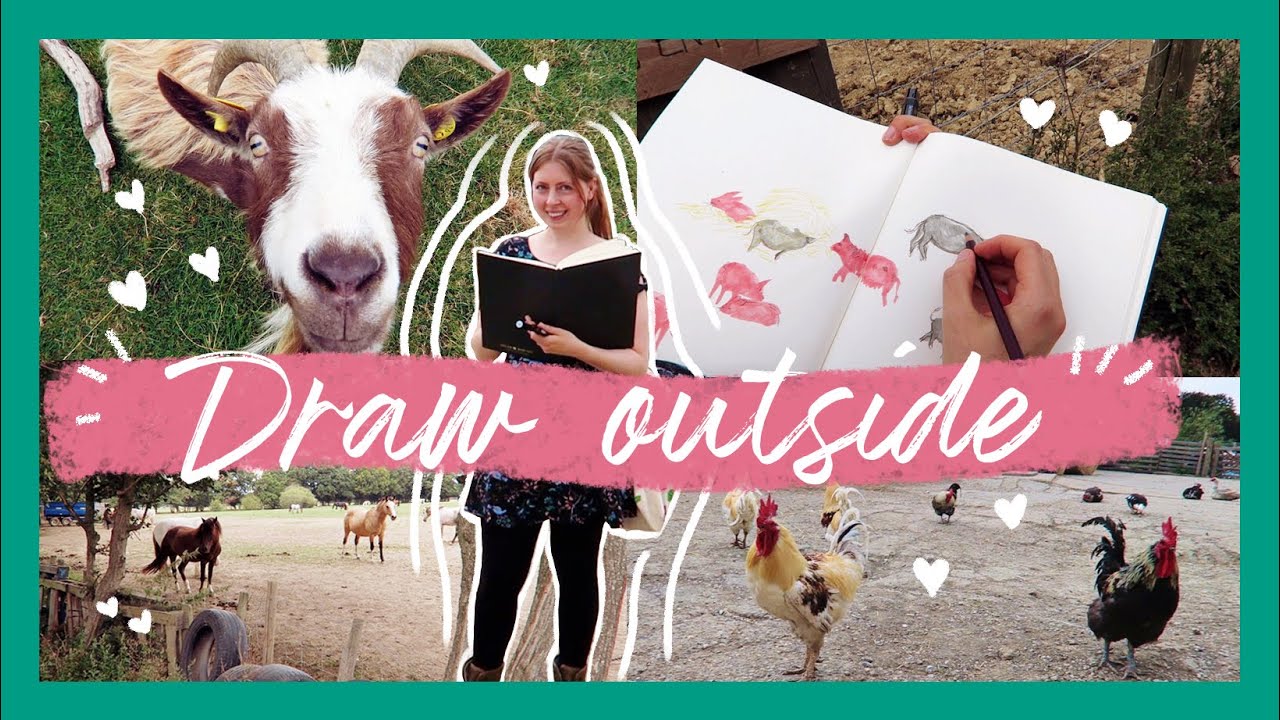Having the BEST time! Drawing rescued animals. 🐴 🐷 🦆 🐐