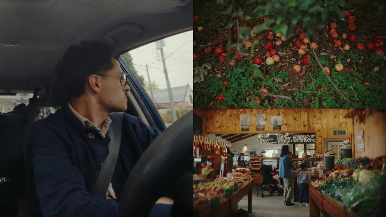 Brantwood Farms | CINEVISTA 210 PowerGrade