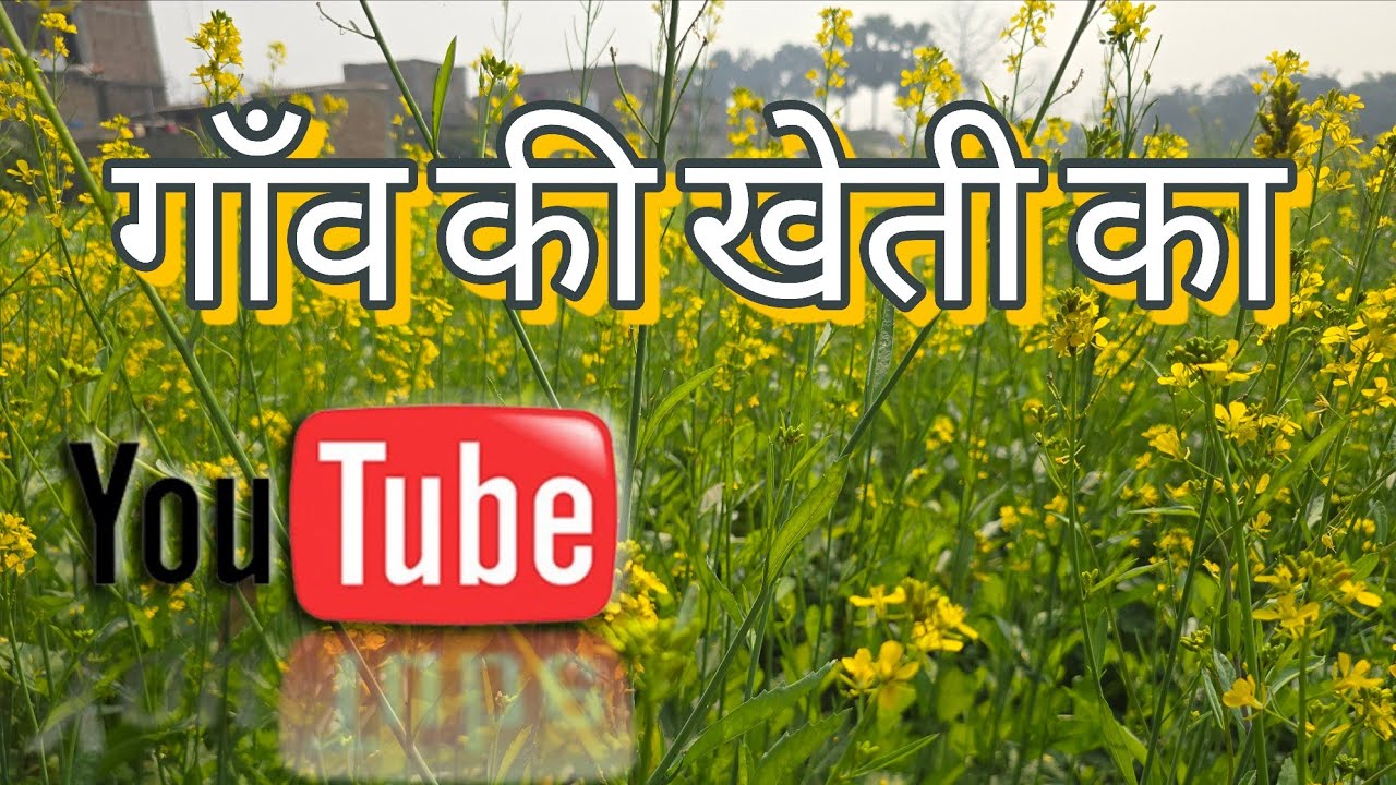 सरसों की खेती🌱Sarso ki kheti kab aur kaise karen🌾 A to Z जानकारी - Is