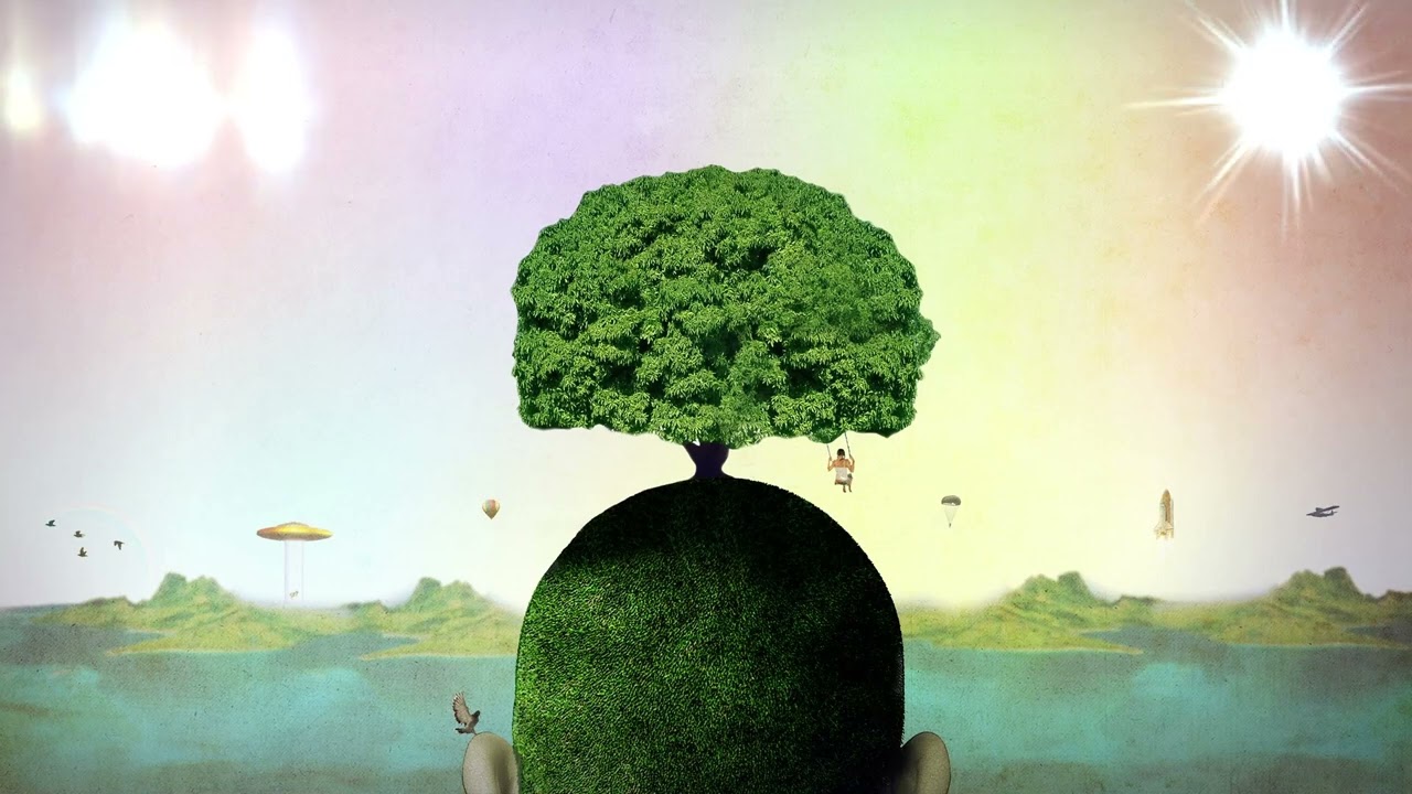 Jardim Do Universo - Bettina Maureen