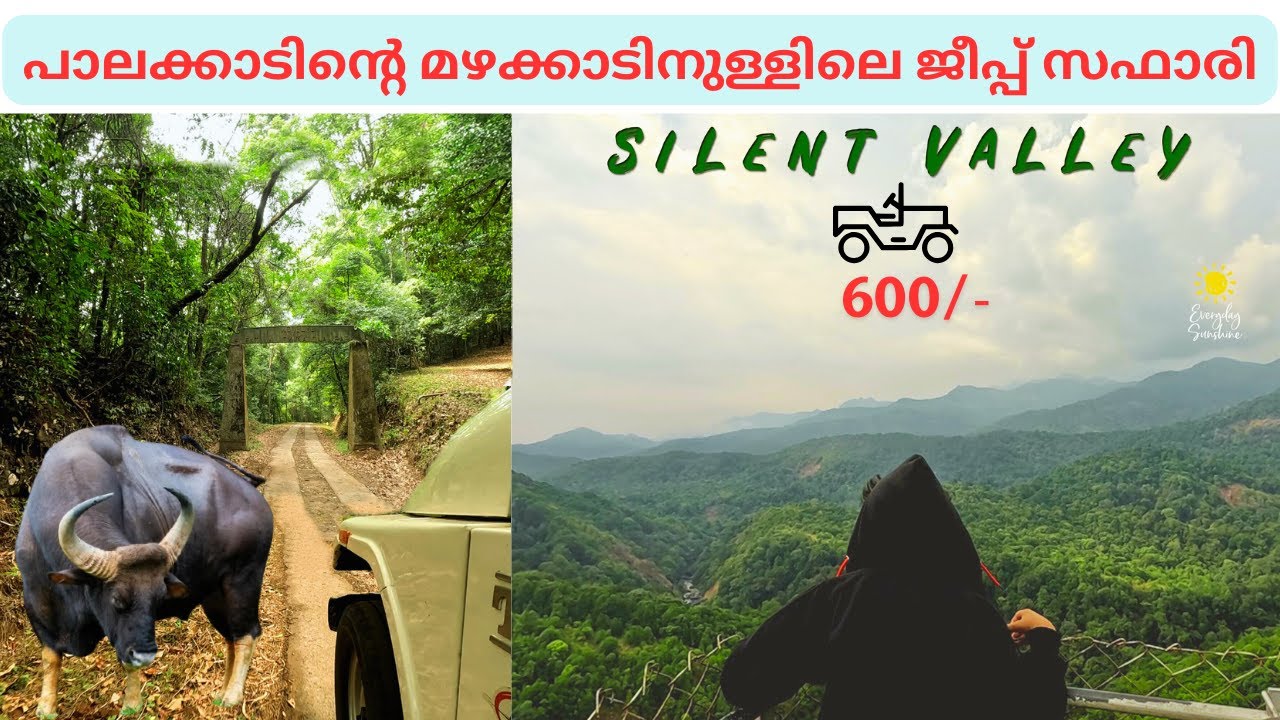 Silent Valley National Park In Kerala | Palakkad Tourist Places To Visit | Jungle Safari | Attapadi