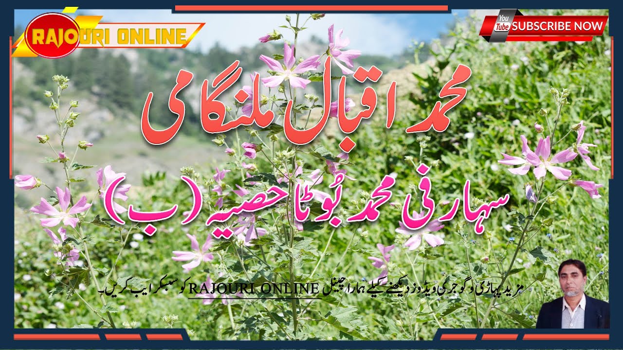 Syed Iqbal Malangami || SEHARFI MOHD BUTA PART-2|| Rajouri Online