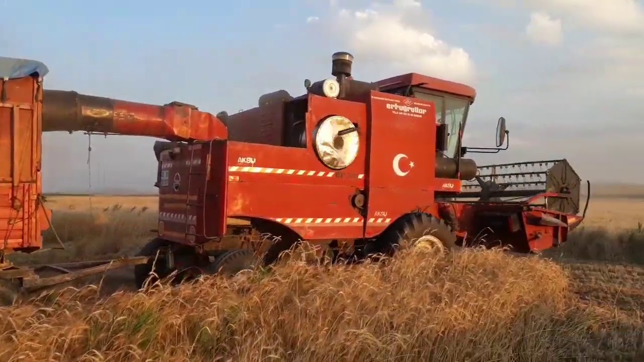 ERTUĞRULLAR 3000 biçerdöver  BUĞDAY HASADI