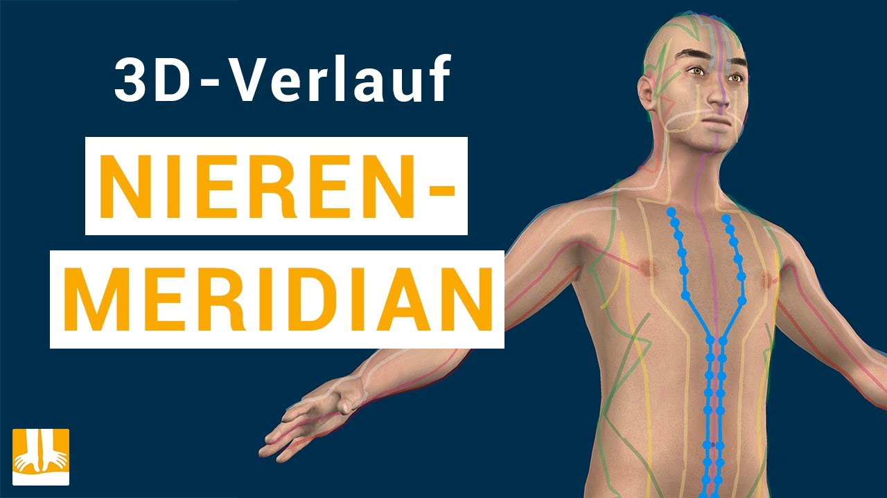 Der Nierenmeridian - 3D-Verlauf von Punkt zu Punkt