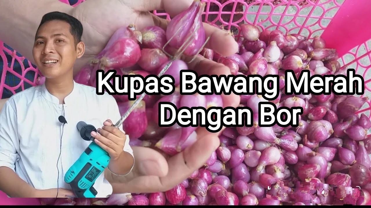 Alat Pengupas Bawang Merah Sederhana