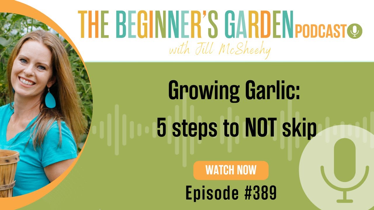 Grow Large Garlic (by not skipping these 5 important steps)