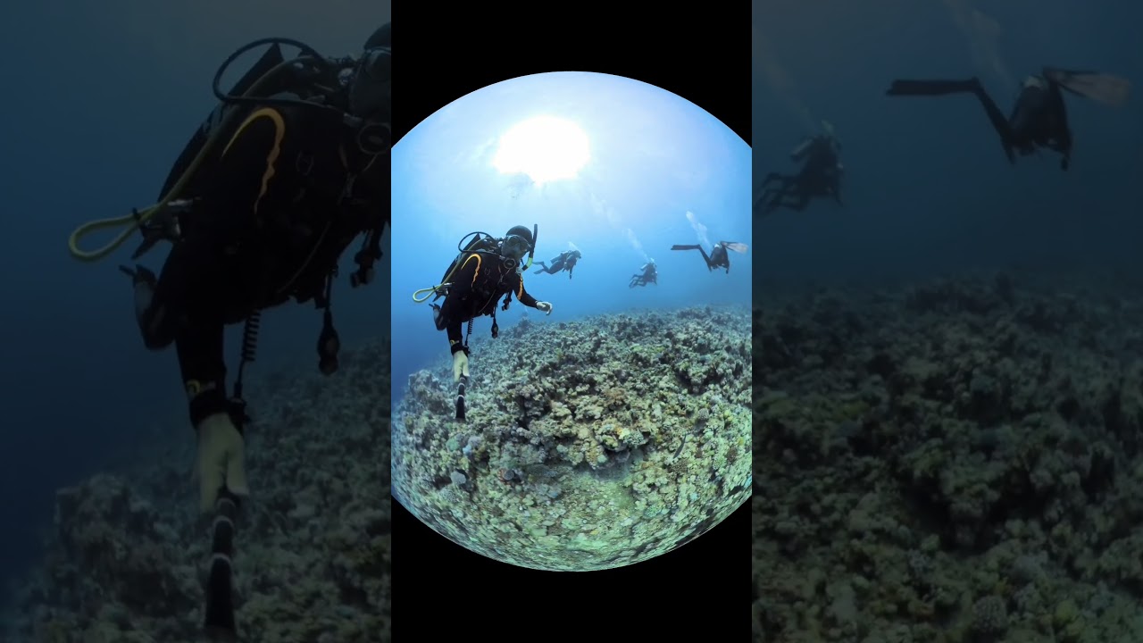 2025 Gordon Reef