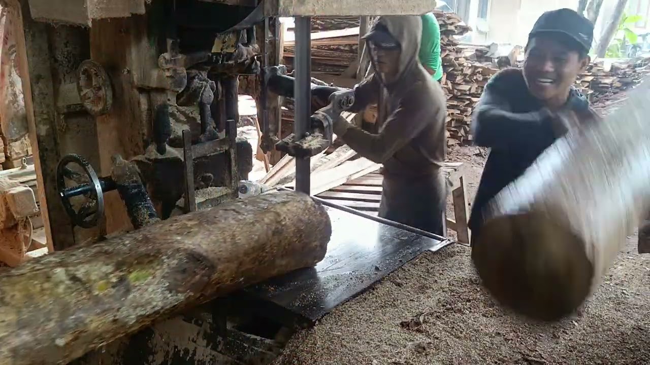 KETAR KETIR POTONG KAYU DAWUNG 