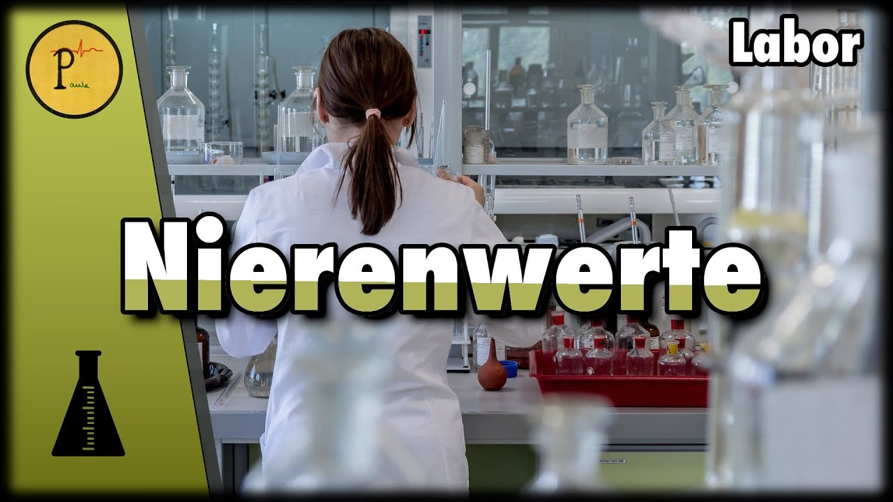 Kreatinin, GFR, Harnstoff. Laborwerte der Niere.