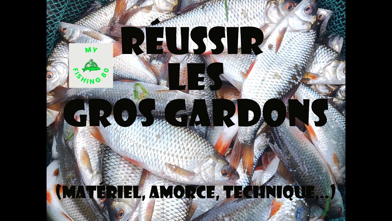 REUSSIR SA PÊCHE DE GROS GARDONS EN AUTOMNE. (Matériel, Amorce, Techniques, esches,.....)