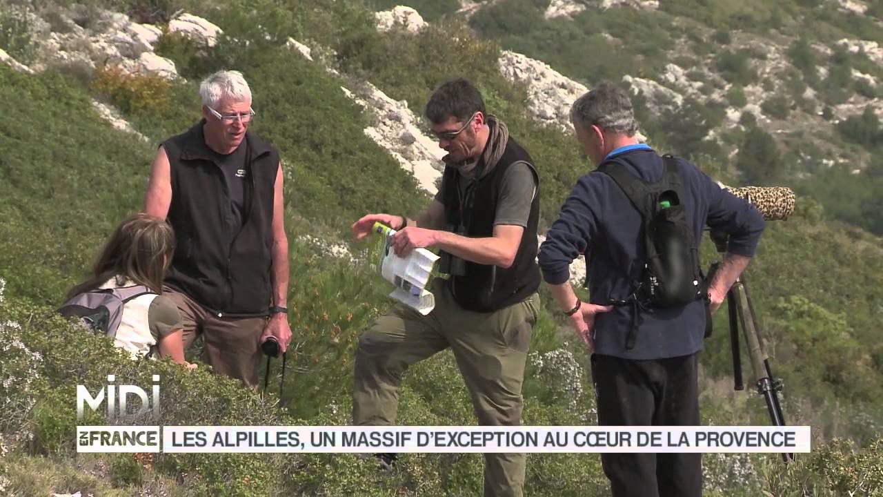 SUIVEZ LE GUIDE : Les Alpilles, un massif d'exception au coeur de la Provence