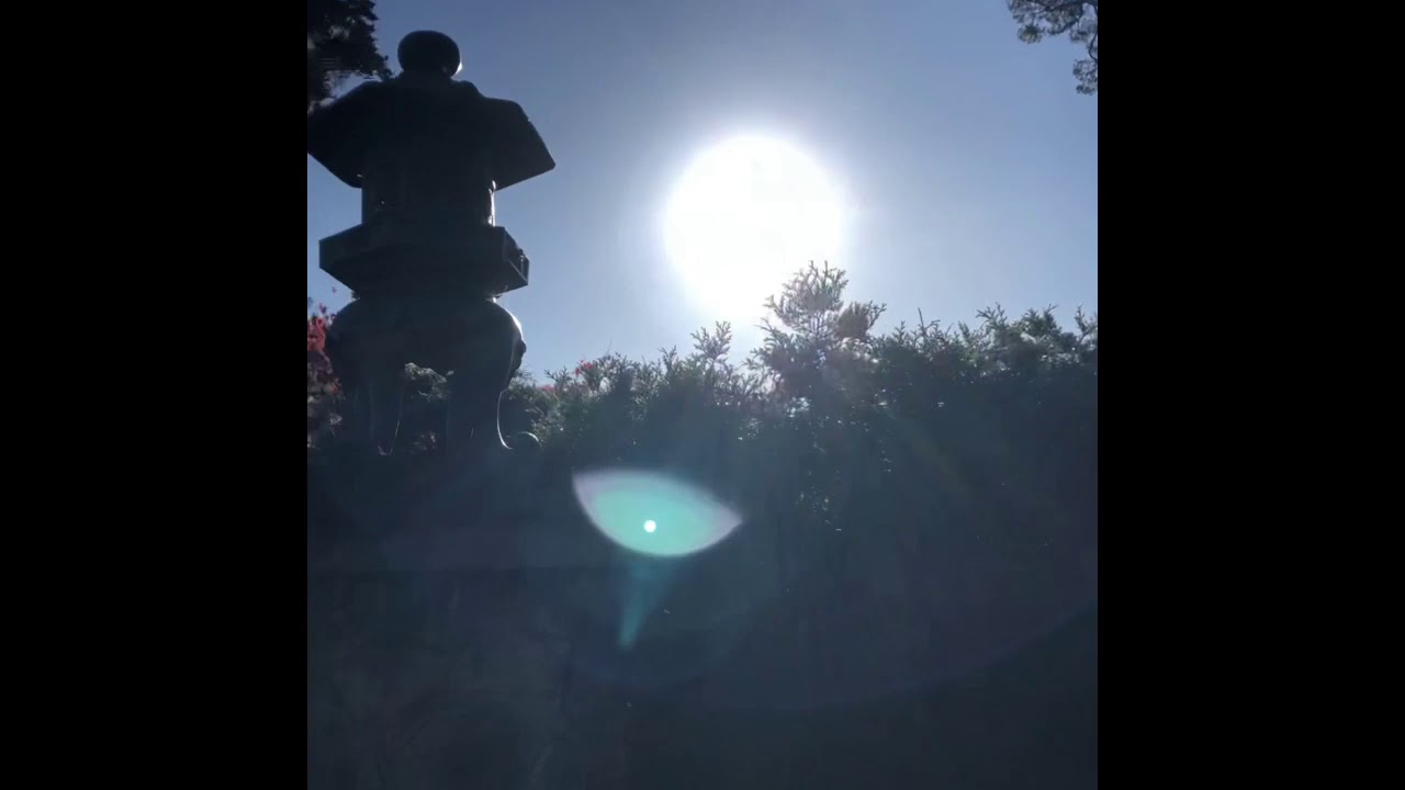 AT JAPANESE TEA GARDEN SAN FRANCISCO 2019