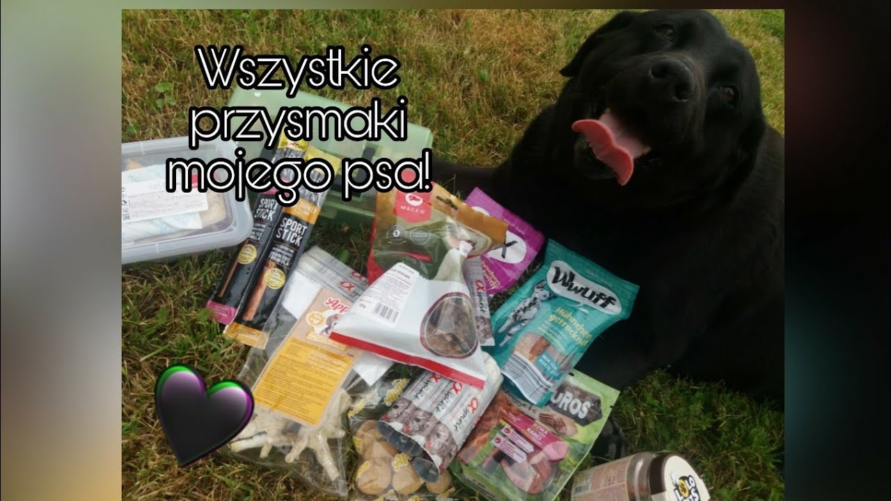 Wszystkie przysmaki mojego psa🌸🐶~CzT❤
