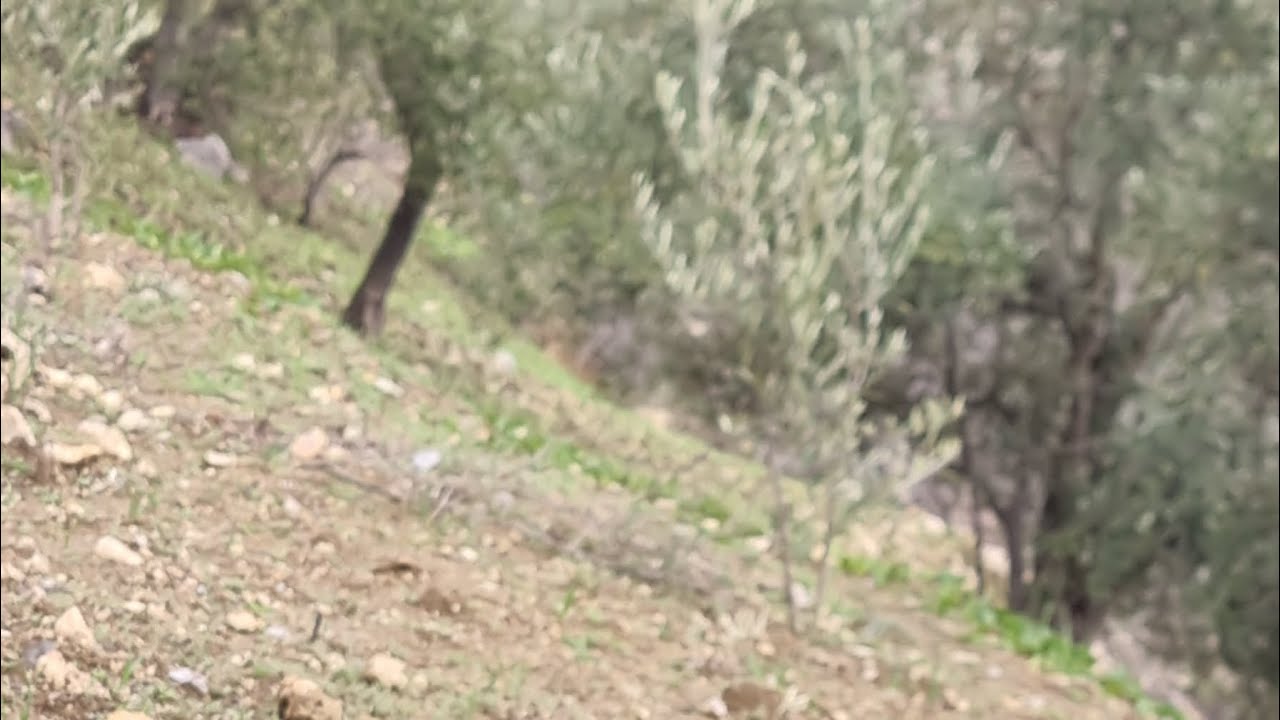 برطاجيو توصل المسؤولين دوار مهدد بالاختفاء  اقليم مدينة #تازة 