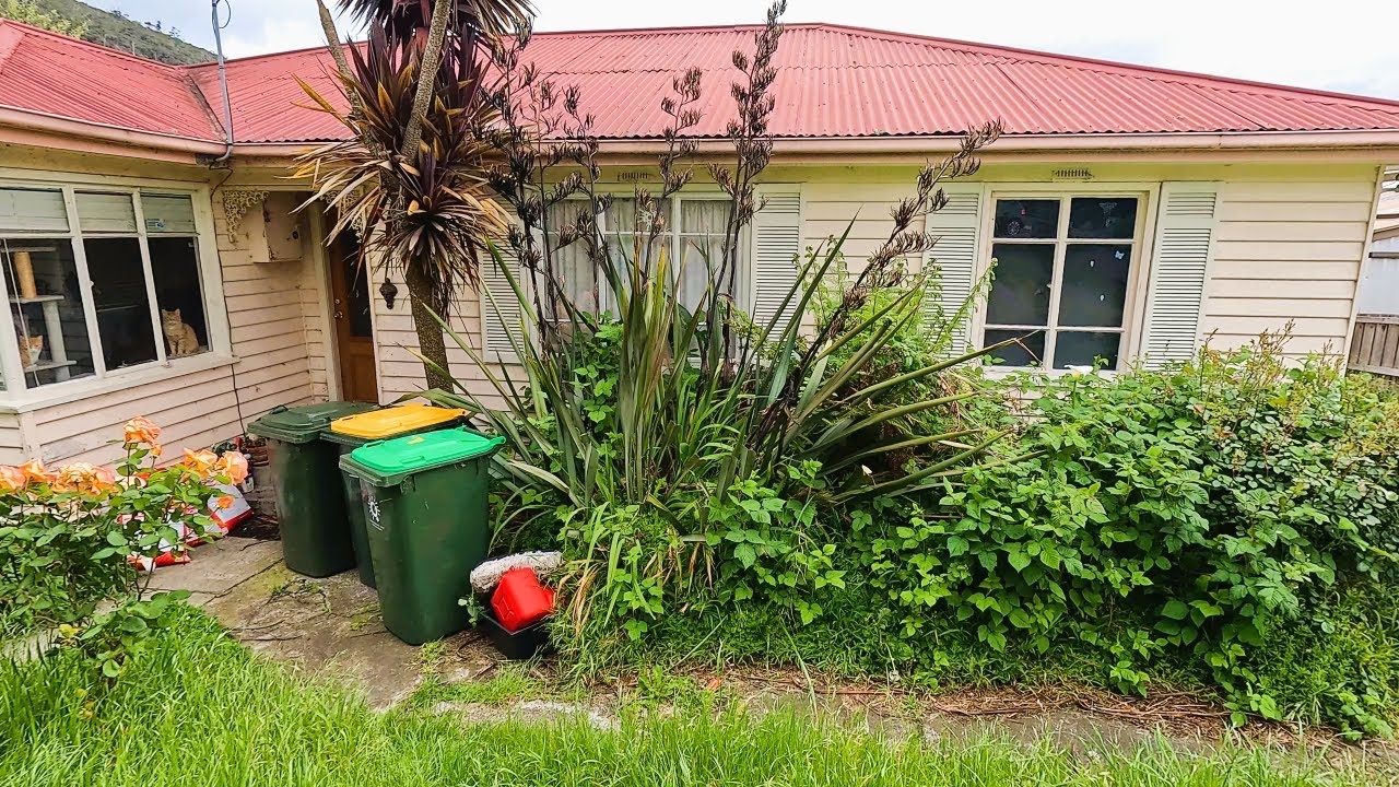 Epic Yard Cleanup Operation SAVES Single Mom's Sanity!