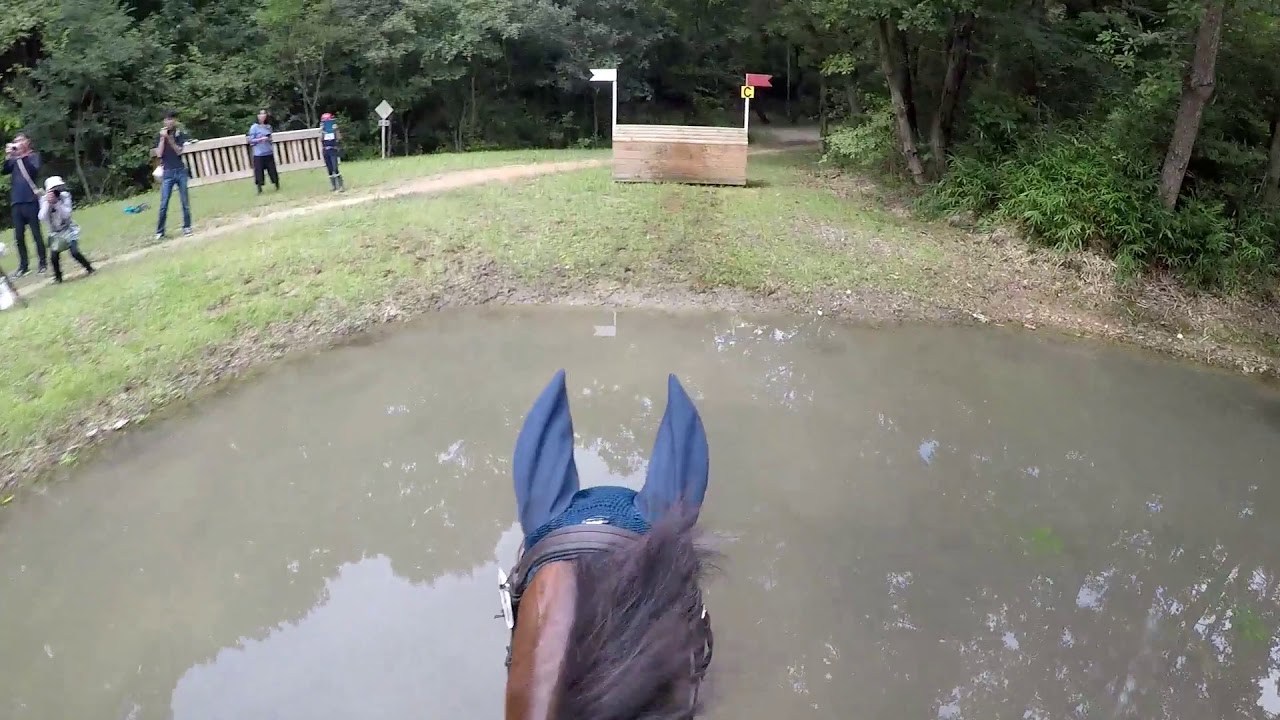 CIC1* Miki 弓良隆行 & ポーチャーズホープ / CIC1* Miki Takayuki YUMIRA & Poachers Hope